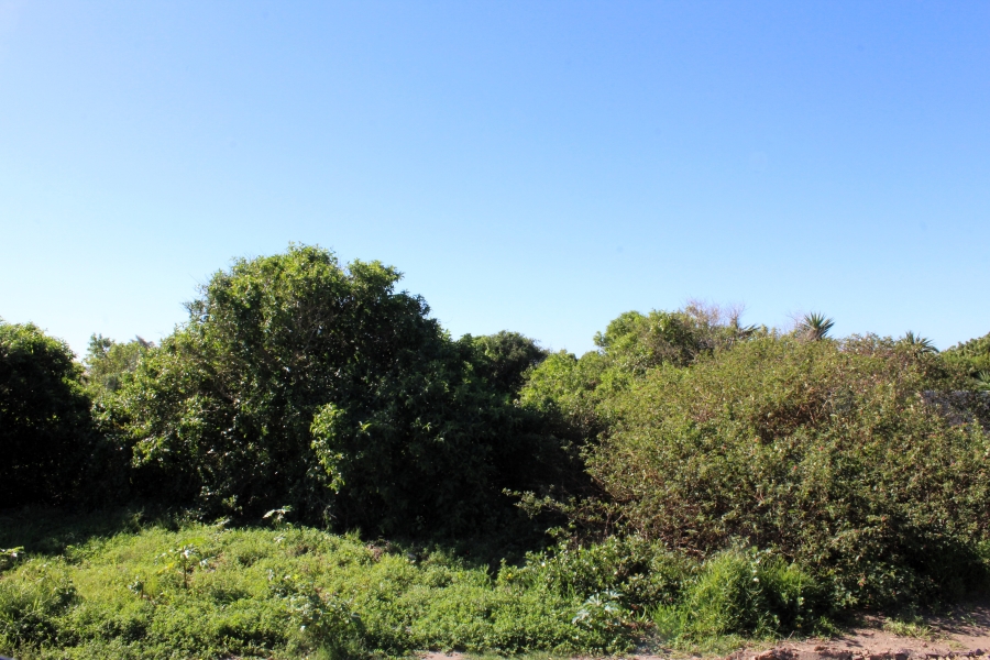 0 Bedroom Property for Sale in Riverview Water Front Estate Eastern Cape